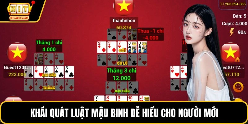 Khái quát luật mậu binh dễ hiểu cho người mới